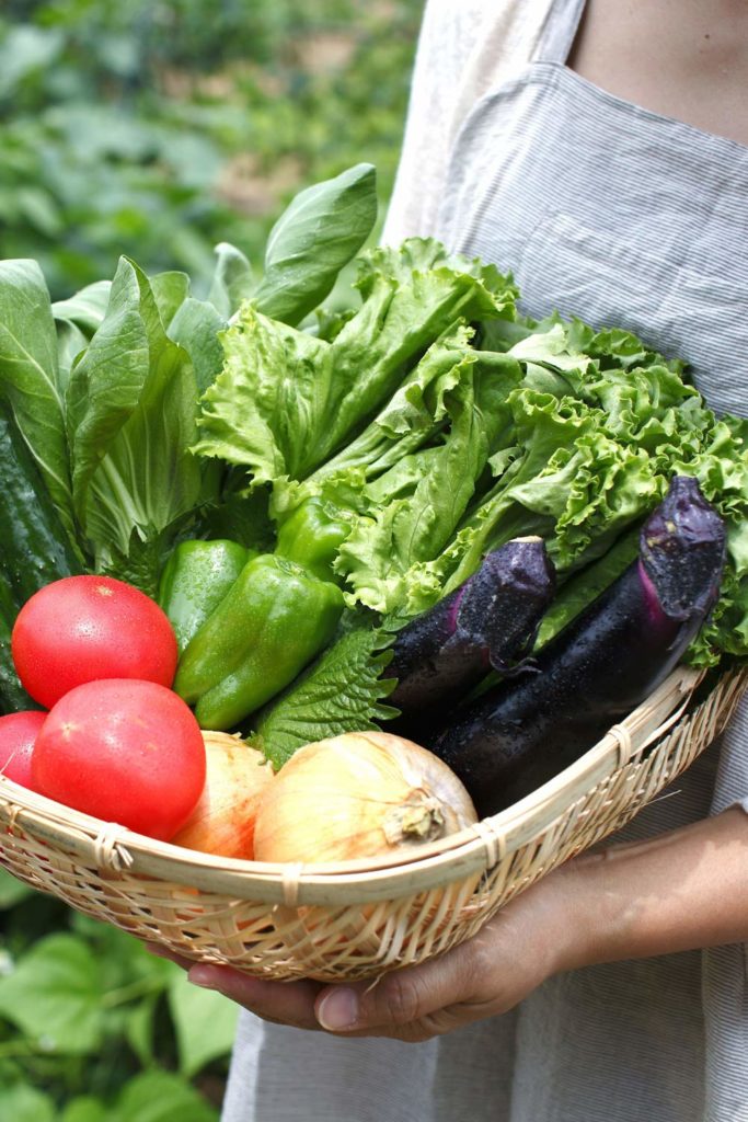 Healthy Diet with Functional Medicine in Santa Fe with Dr Allison Howard